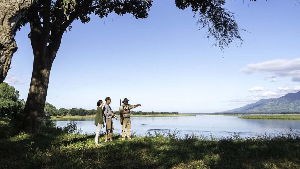 Our Incredible Experience in Mana Pools, Zimbabwe