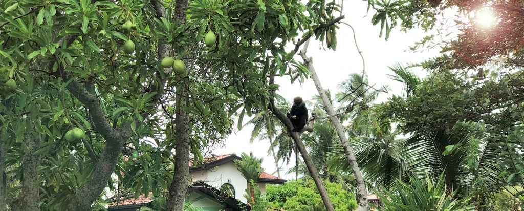 places to visit around Galle