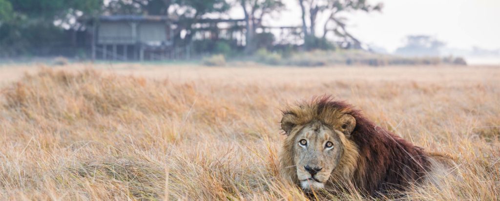 Where to stay in Kafue National Park, Zambia