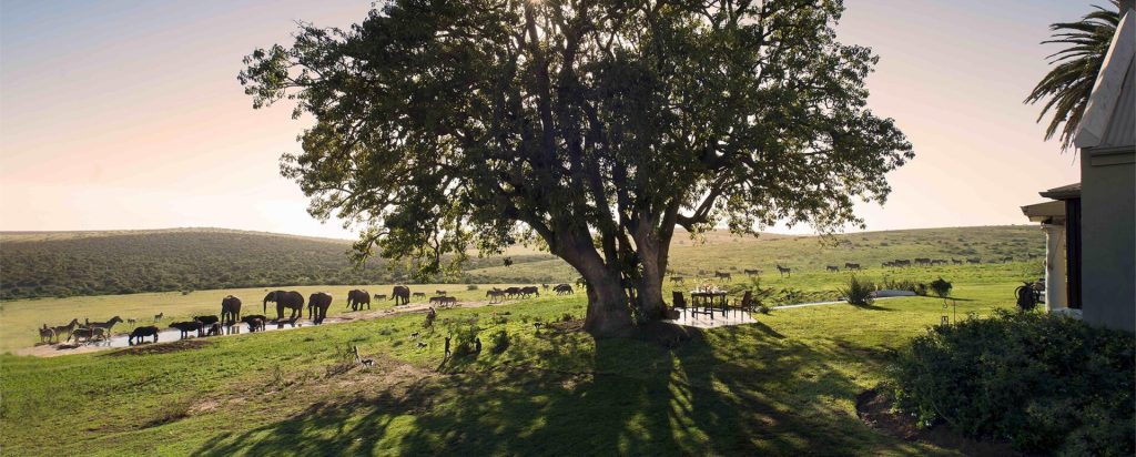 Gorah Elephant Camp in South Africa