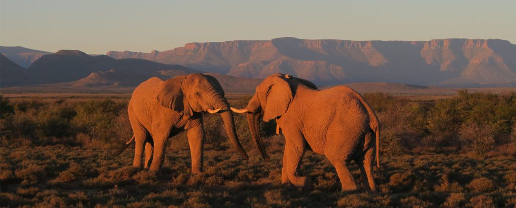 Samara Private Game Reserve