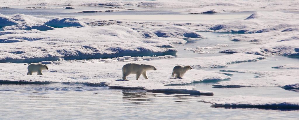 17 Day cruise Northwest Passage Voyage
