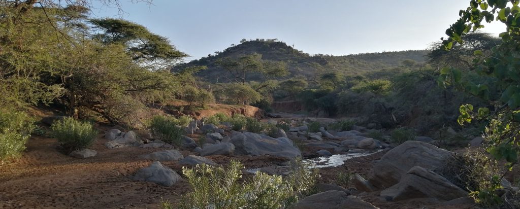 Captivating Kenya