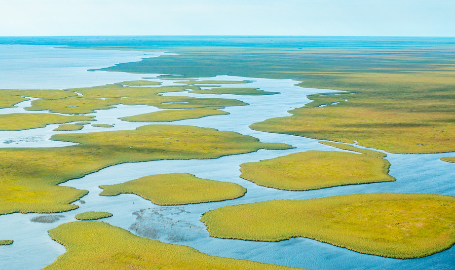 Ibera Wetlands Landscape, Argentina