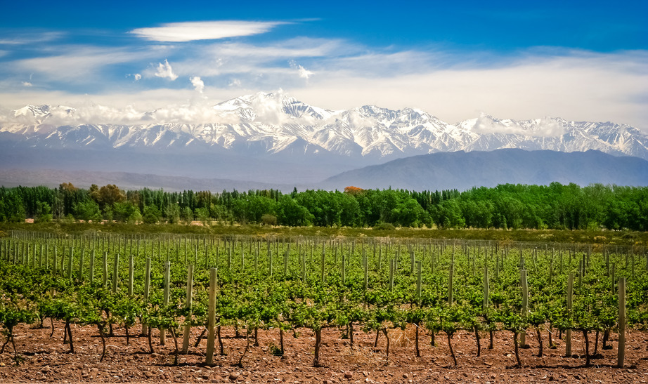 Wineries Argentina