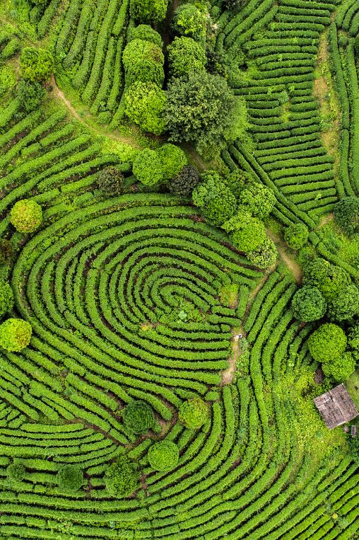 Aerial Sri Lanka