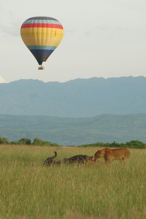 Air balloon Uganda