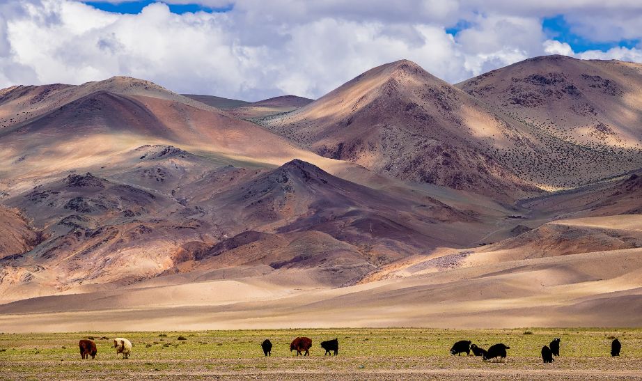 Altai mountains Mongolia