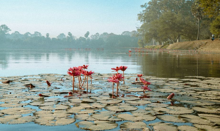Angkor Wat Krong Siem Reap Cambodia