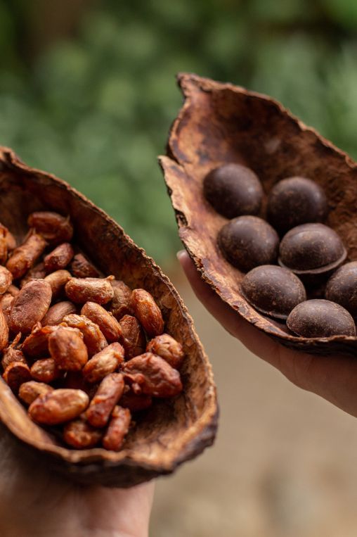 Beans Ecuador