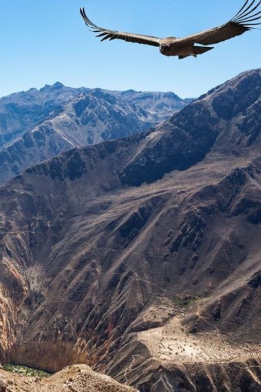 Colca Valley Peru