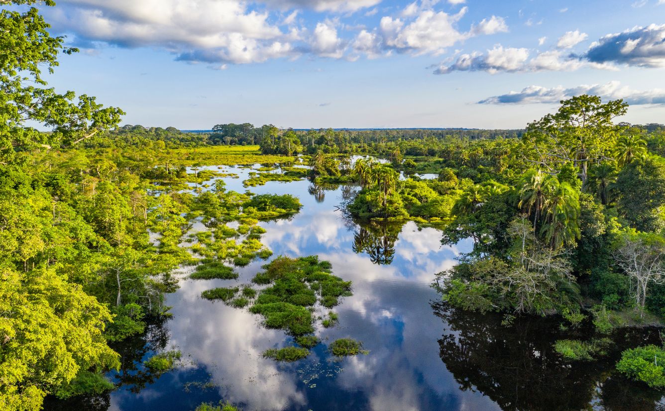 Congo Basin The Republic of Congo