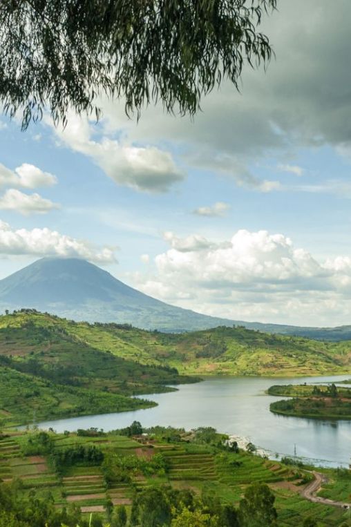 Congo landscape