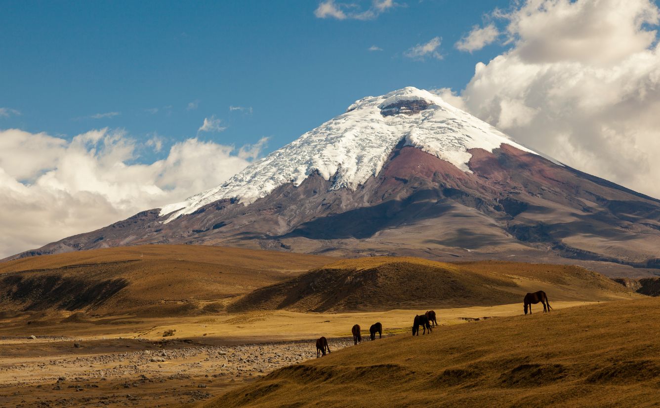 Cotopaxi Volcano Ecuador