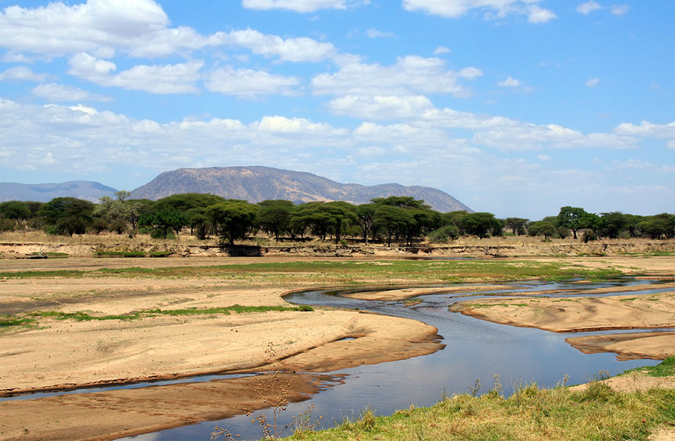 ruaha national park tanzania