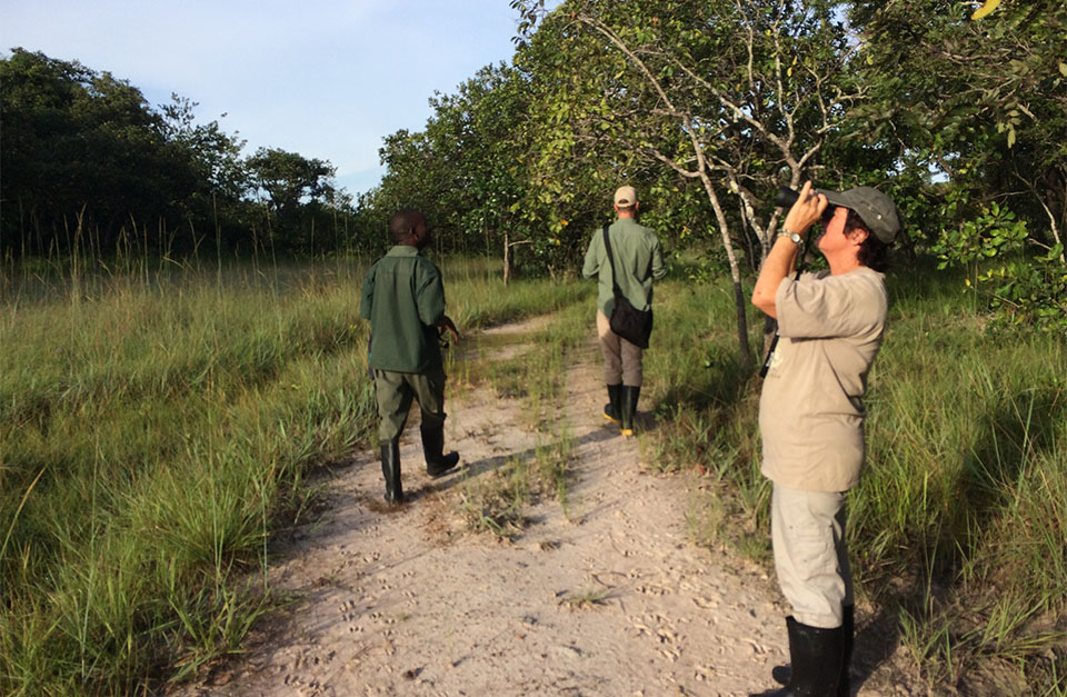 walking safari in zambia