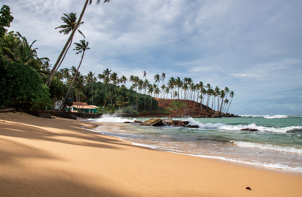 beach in Sri lanka