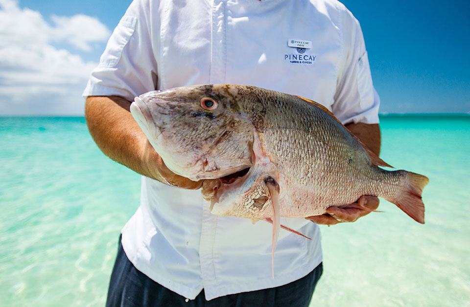 bonefishing in Pine Cay