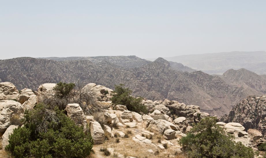 Dana Reserve Jordan