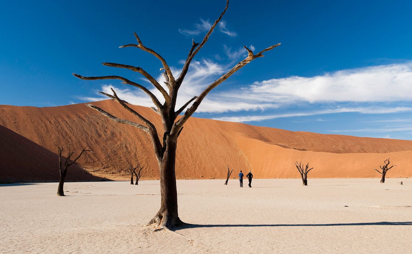 Dead camelthorn trees against red dunes in Deadvlei Sossusvlei, Namibia