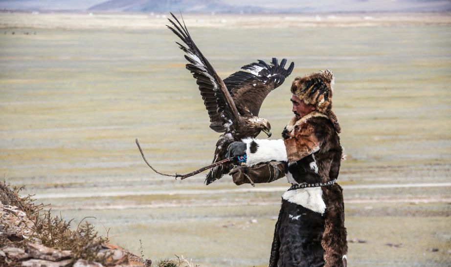 Eagle hunter Mongolia