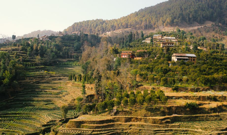 Farmland Kathmandu Nepal