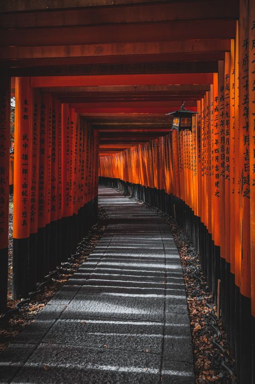 Fushimi Inari Taisha Kyoto Japan