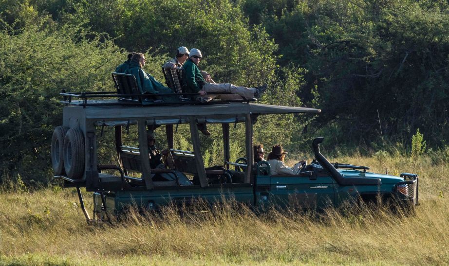 Game drive in Botswana