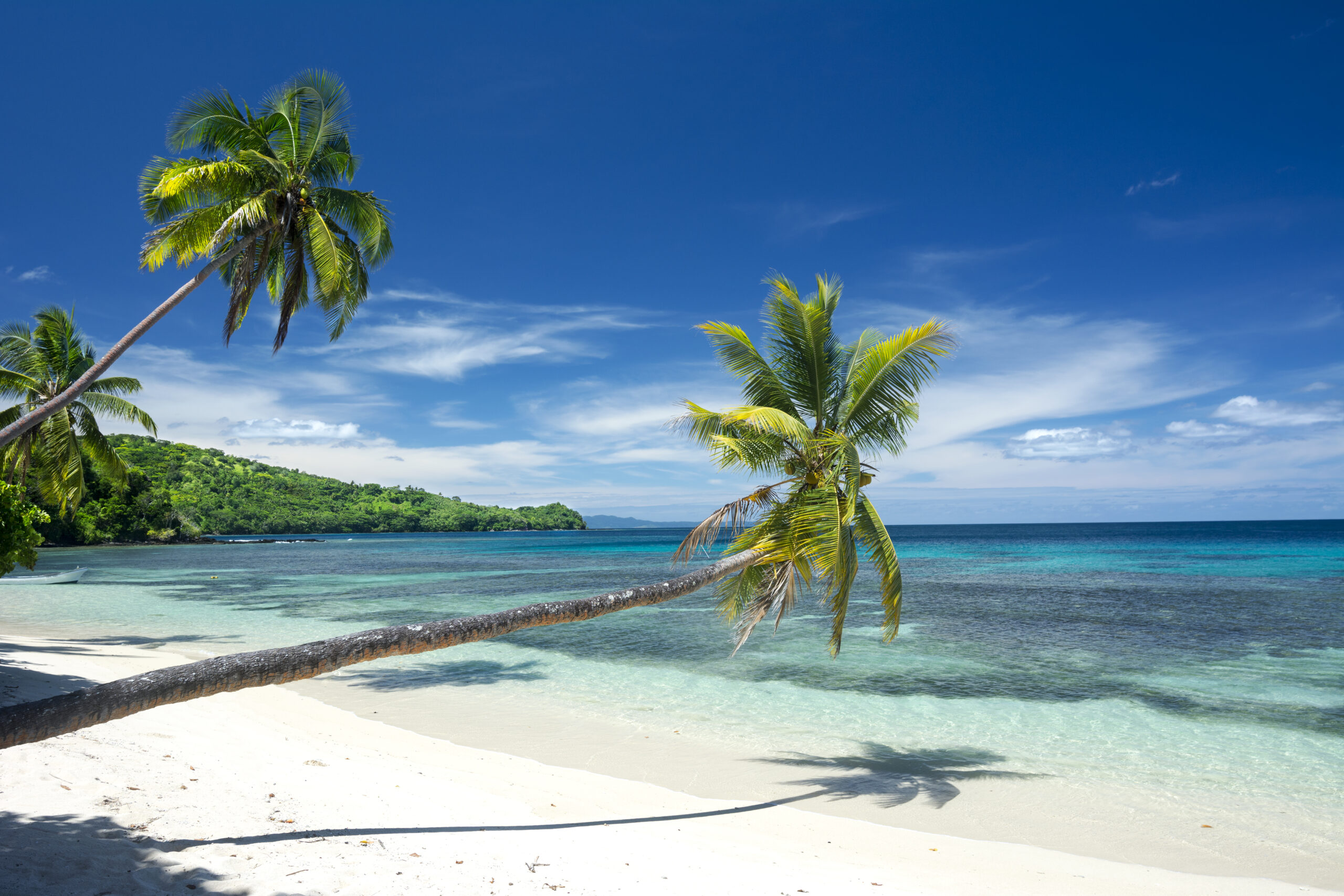 Three palm trees line a white, tropical sand beach highlighted by a beautiful deep blue sky, pacific islands