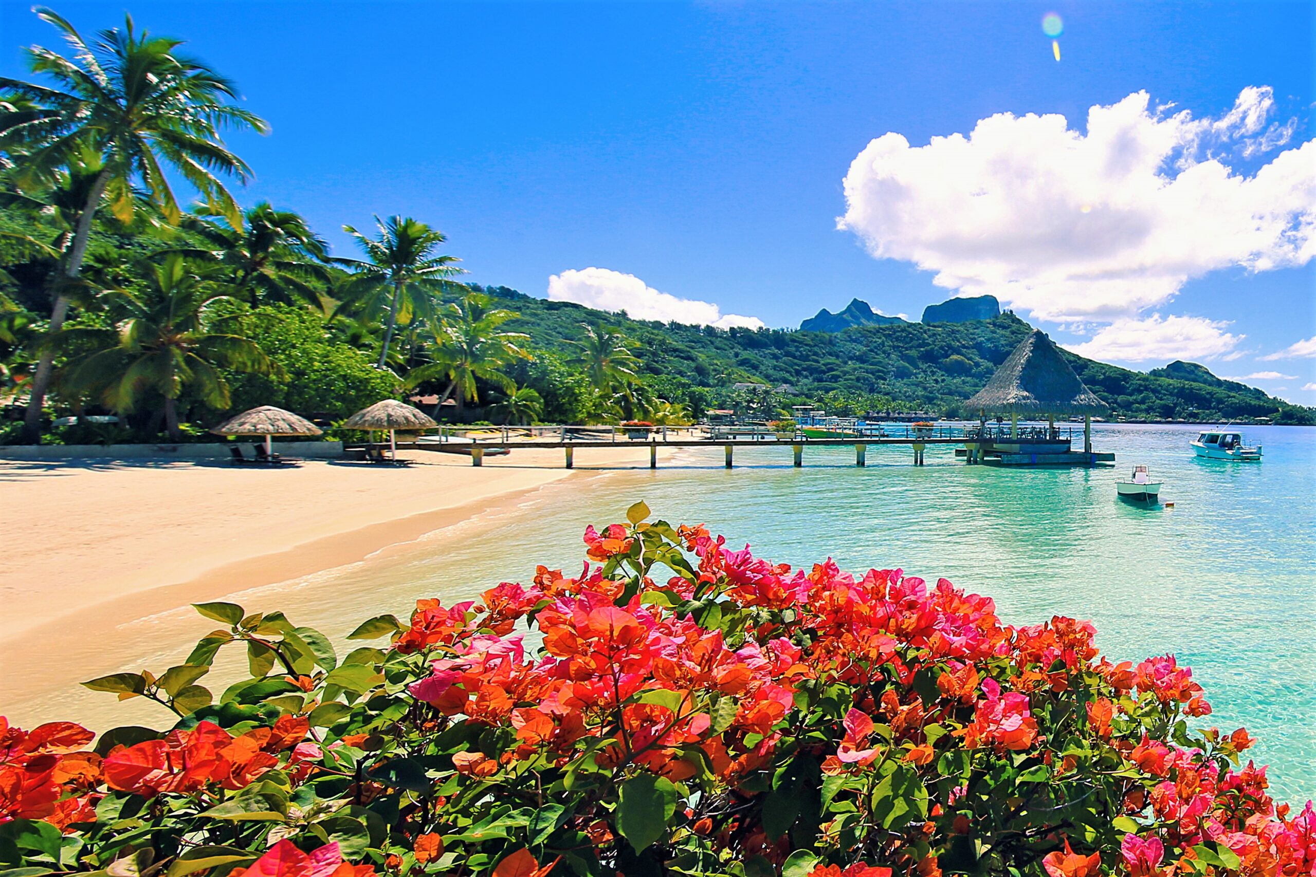 Bora Bora Tahiti Flowers