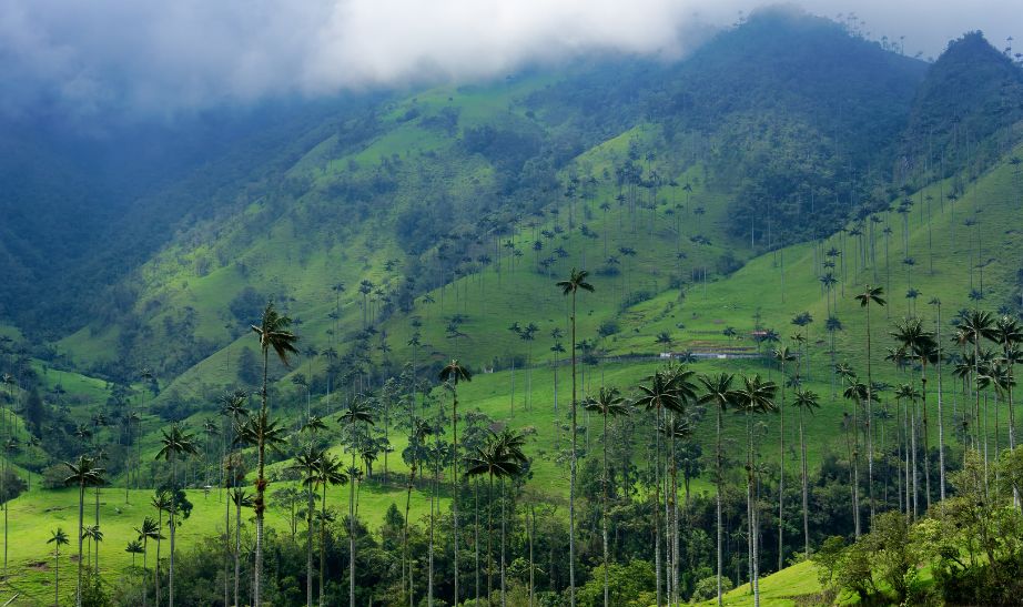 Green hills Colombia