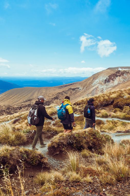 Hiking New Zealand