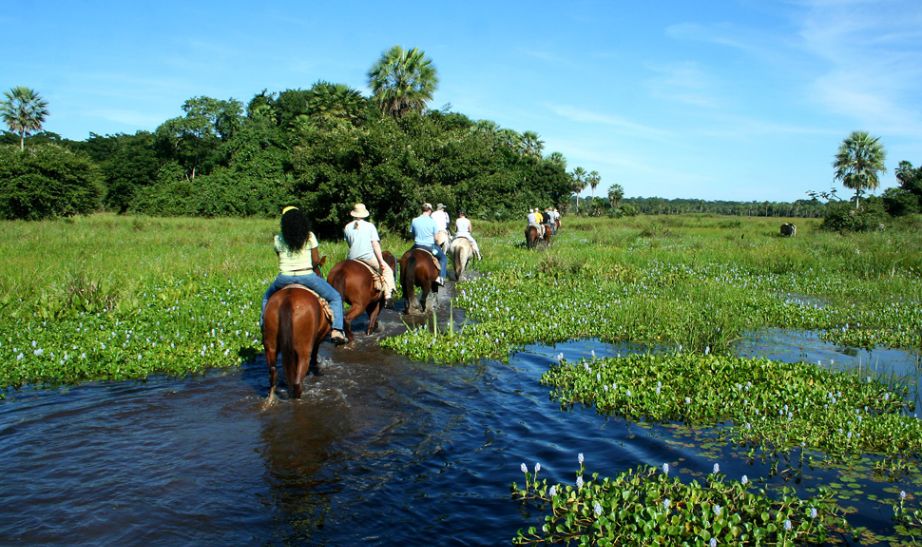 Horse riding in Brazil