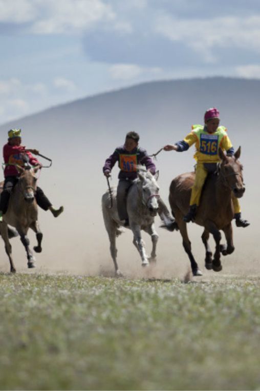 Horse sport Mongolia