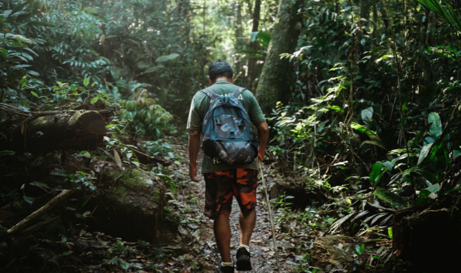 a man walking in the jungle Brazil