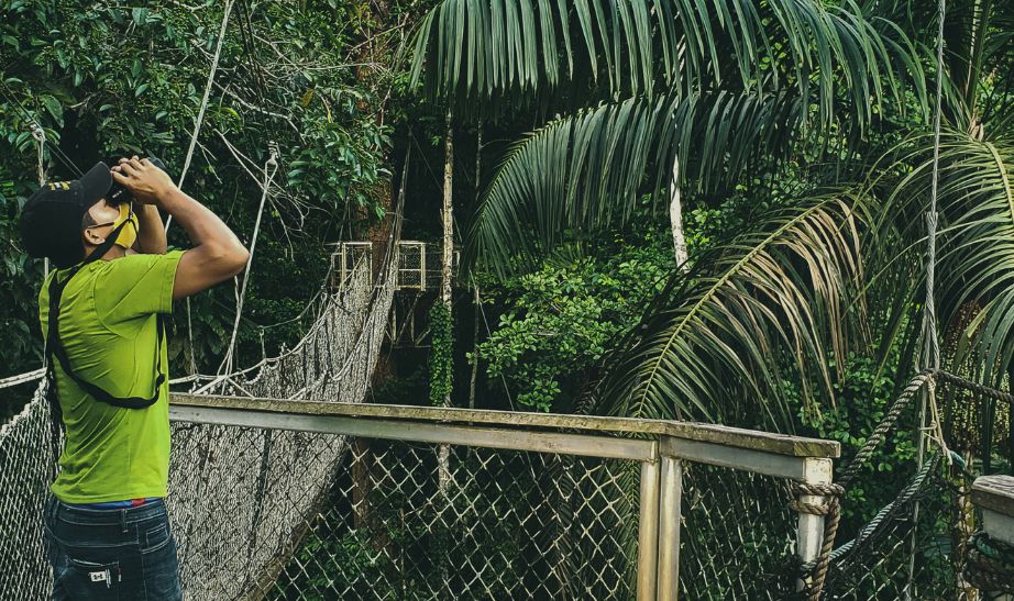 Jungle Guyana