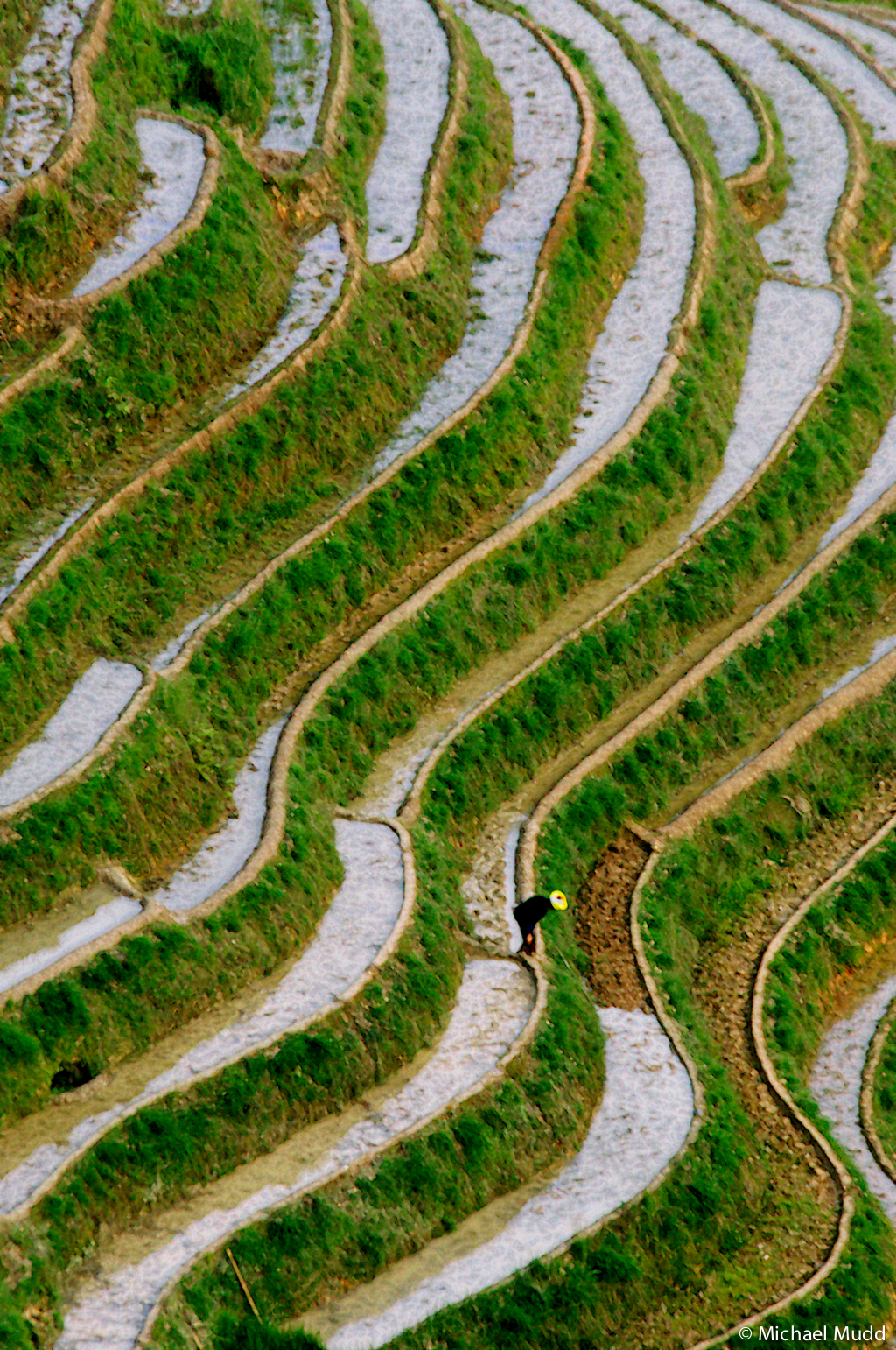 Longsheng Rice Terraces, Guangxi