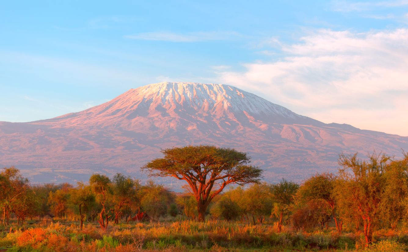 Mount Kilimanjaro with Acacia in Tanzania