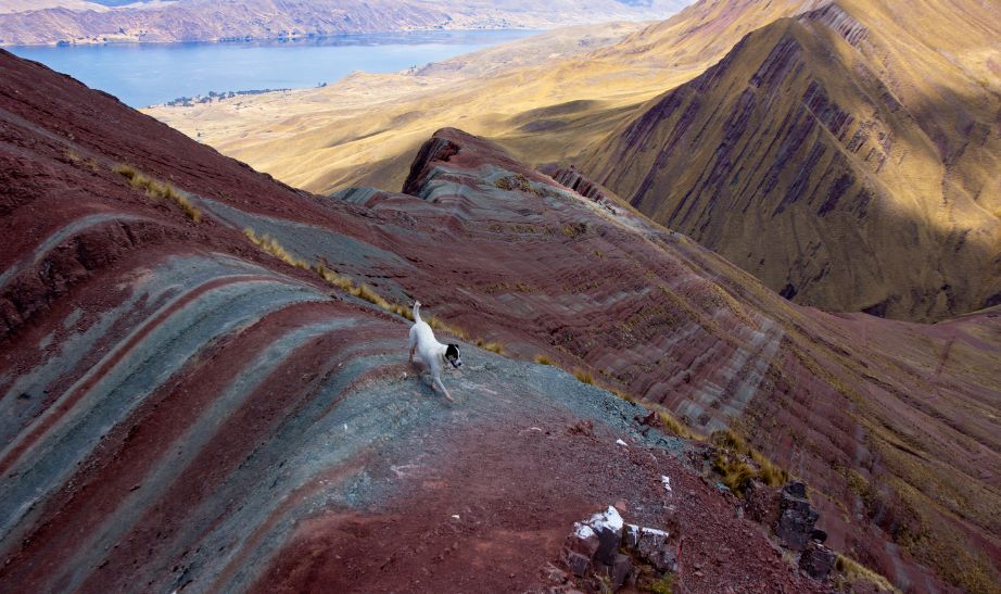 Rainbow mountain Peru