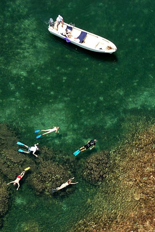 Snorkelling in Kenya