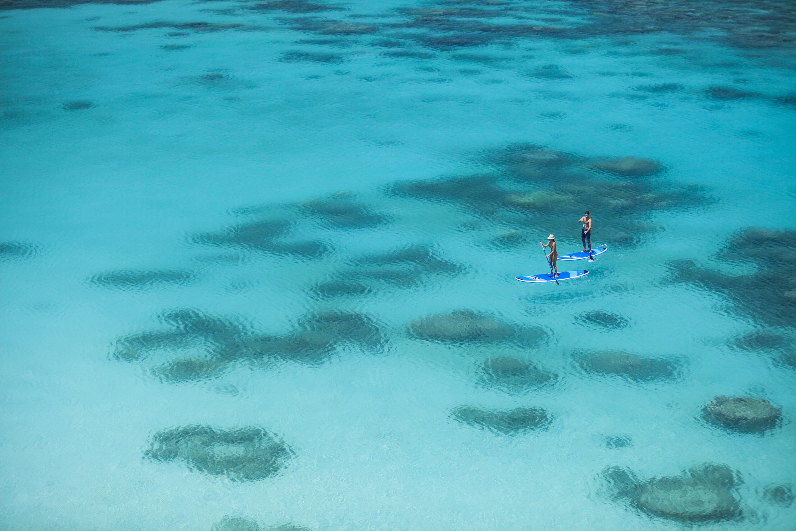 Stand Up Paddle Boarding