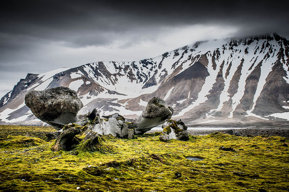 Old Whaling Station, Svalbard