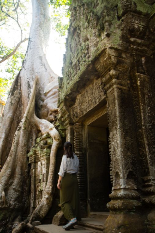 Ta Prom Siem Reap Cambodia