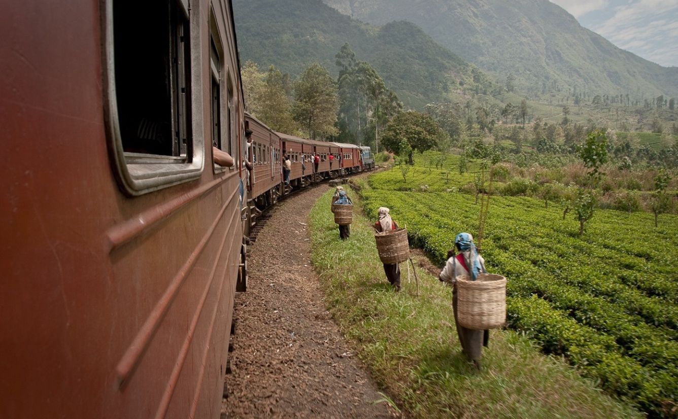 Train to Ella Sri Lanka