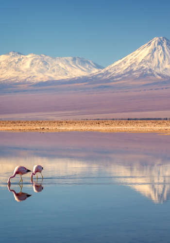 The Atacama Desert, Chile