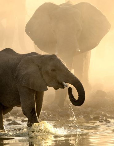 Kruger