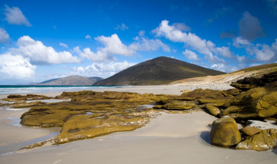 beach in the Falkland islands