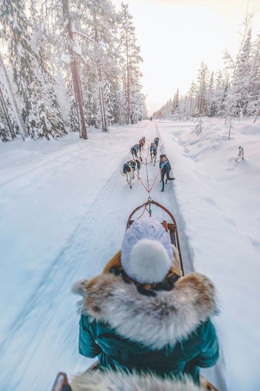 dog sledding Churchill
