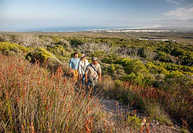experience grootbos south africa