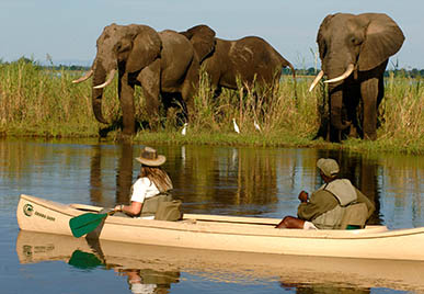 experiences zambezi river canoe zambia